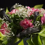 session 1 - Gerdy Florans - Bloemenliefde Meterik