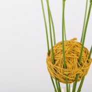 Een hechte Freesia constructie detail