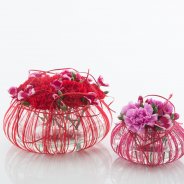 Valentine's Day arrangement with Dianthus Overview