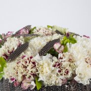  Anjer Voorjaar Veren close up