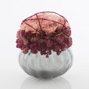 Spherical Dianthus Amaranthus arrangement