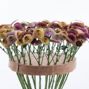 Kleurrijk Chrysant 'Doria' boeket close-up