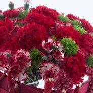 Surprising Dianthus bouquet - Flower Factor