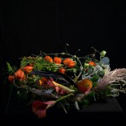 design Miney kanters minyatuur sessie 3.1