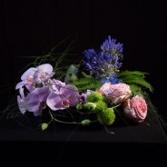 design Toos Staaks Welles anthurium sessie 3