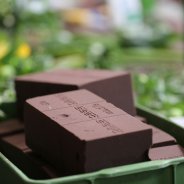 Floral Jam sessions Flower Factor with OASIS at FloraZON