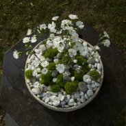 green trick funeral flower arrangement HilverdaKooij Flower Factor Roos van Unen 8