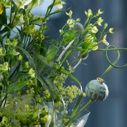 Florale jam sessies bij HilverdaKooij - design inge quint 