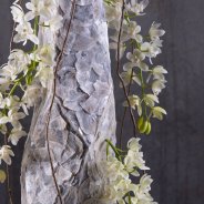 Cybidium 'Ice Cascade' arrangement - LZ Orchidee - Flower Factor