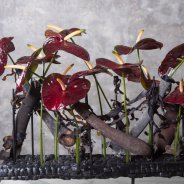 Spannend bloemwerk met Black Queen Anthurium door Pim van den Akker