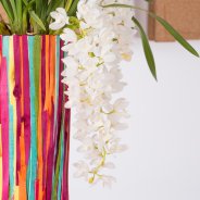 Close-up of the Ice Cascade Cascade Cymbidium in a colourful interior