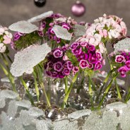 Sparkling Sparkz Breanthus Christmas arrangement