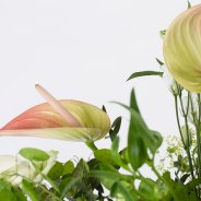 Bouquet enriched with Anthuriums - Roos van Unen - Flower Factor