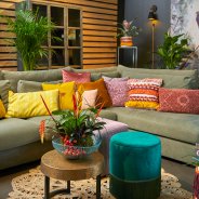 Bromelia in sfeervol interieur