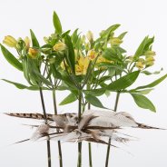 Alstroemeria design met veren close-up