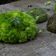 Rouwwerk met Green Trick