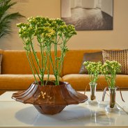 Kalanchoe in modern interieur