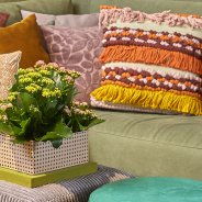 Kalanchoe in sfeervol interieur