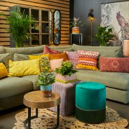 Kalanchoe in sfeervol interieur