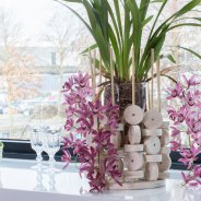 Cascade Cymbidium 'Anisa' and wood - close-up