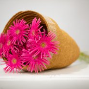 Mi Queenie Josephine van LG Flowers - design Pim van den Akker - foto Nils van Houts