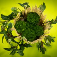 Magnificent Bells en Green Trick van HilverdaKooij' - design Pim van den Akker - foto Nils van Houts