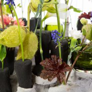 OASIS Black Ideal recycle design Chantal Vollenbroek - Flower Factor
