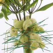 Leuk lente boeket met Alstroemeria close-up midden