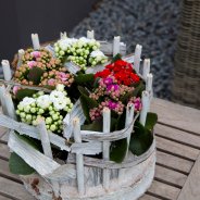 Kalanchoes in wit tafeldesign - Pim van den Akker - Flower Factor