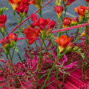 Freesia's in afscheidsbloemwerk