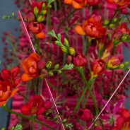 Liefdevol rood afscheidsbloemwerk