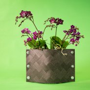 origineel orchidee arrangement door Pim van den Akker