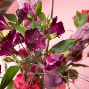 Plukboeket met Alstroemeria's