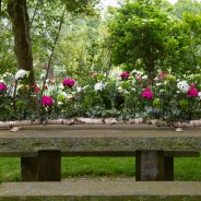 tafeldecoratie Dennis Lanzaat - Flower Factor