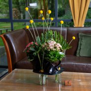 Kalanchoë in the hospitality business