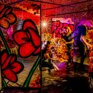 Fleuramour 2018 - #FreestyleFreesia