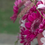 Pink mums Stresa and Stresa Purple in a design by Kristel van Dijk - photo Flower Factor