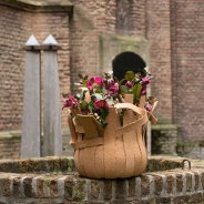 Playful Hellebore Frostkiss arrangement for outside