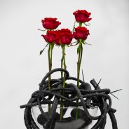 Red Eagles van Arend Roses - design Pim van den Akker - foto Nils van Houts