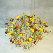 Vlammend #FreestyleFreesia design top