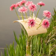 Frame bouquet with Mi Twisti Iggy