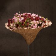 Verrassend bloemwerk met trosrozen