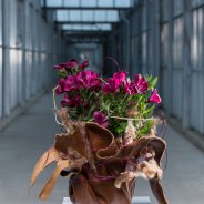 Florale jam sessies bij HilverdaKooij - design Inge Quint