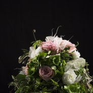 session 1 - design Lanvia Amjelves Loa