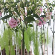 Charmelia display design David Ragg medium