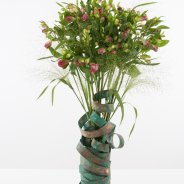 Alstroemeria Florinca 'Noa' met koperen strips