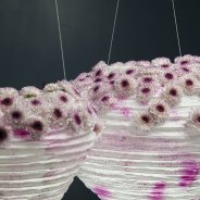 Close-up lampionnen met Chrysant Abbey Limited Edition 1 van Zentoo