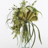 Leren kegels met trendy Dianthus