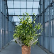 Florale jam sessies bij HilverdaKooij - design gea korpel beskers