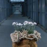 Florale jam sessies bij HilverdaKooij - design gea korpel beskers